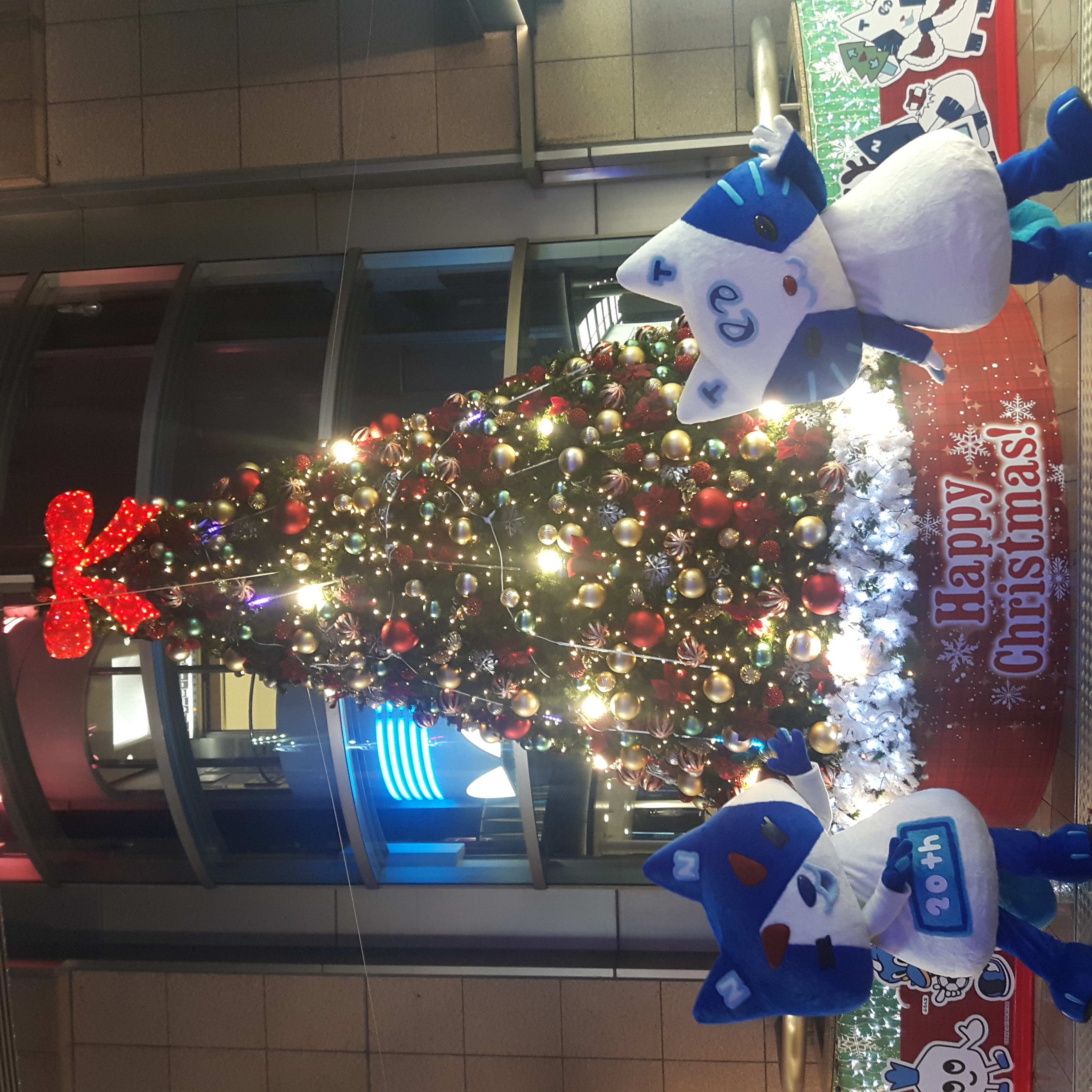 ノクティクリスマスイルミネーション