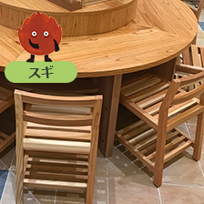 イメージ画像 スギ