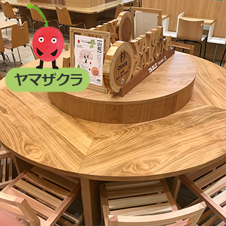 イメージ画像 ヤマザクラ